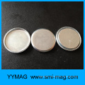 China neodymium monopole magnet for sale